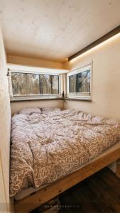 奥泰佩Juusa cabin的小型客房的一张床位,设有两个窗户