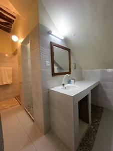 迪亚尼海滩Tahira Villa的一间带水槽、镜子和淋浴的浴室