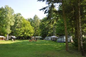 BrechtCamping Het Veen的草原上带帐篷和游乐场的公园