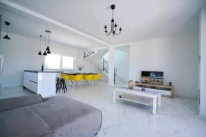ŽarovićVilla Fiore的带沙发的客厅和带黄色椅子的厨房