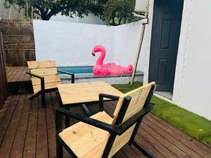 罗纳瓦拉THE CANVAS LONAVLA的庭院设有两把椅子,游泳池里设有粉红色的天鹅