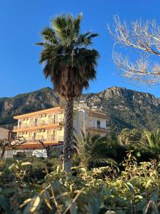 季亚科普通Panorama Hotel - Restaurant的山前的棕榈树