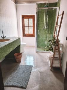 DosríusCasa Om的一间带水槽、淋浴和梯子的浴室