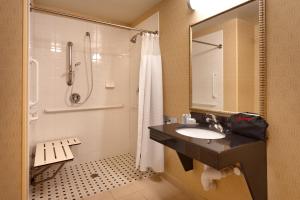 楠帕南帕博伊西费尔菲尔德旅馆&套房酒店的一间带水槽和淋浴的浴室