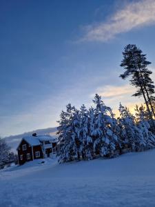 JockÖverkalix Kalixalven Lodge Jockfall的雪中的房子,前面有树木