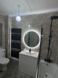 Brampton en le Morthen34 Green Arbour Road的一间带水槽、卫生间和镜子的浴室