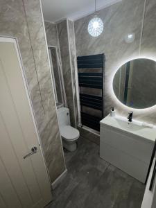 Brampton en le Morthen34 Green Arbour Road的一间带卫生间、水槽和镜子的浴室