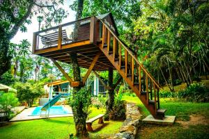 阿蒂巴亚Chácara Atibaia com Casa na Árvore的树屋,树上有楼梯