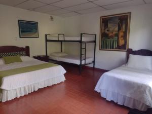 佩雷拉拉卡松纳生态酒店的一间设有两张床的客房,墙上挂着一幅画