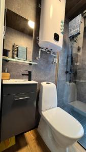 LaagnaMesipesa Green Lodge的浴室配有卫生间、盥洗盆和淋浴。