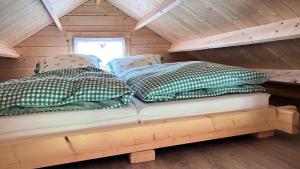 MuldenbergHaeuslein-Waldesruh的小木屋内的两张床,设有窗户