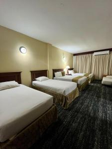 Punto FijoHOTEL BRISAS PARAGUANÁ的酒店客房设有三张床和窗户。
