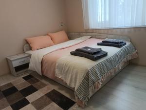 戈采代尔切夫City Apartment的一间卧室配有一张床,上面有两条毛巾