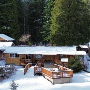 帕克伍德Waterfront Cabin at White Pass, Mt. Rainier的雪中带雪盖屋顶的房子