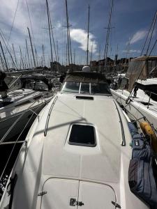 戛纳Le Grand Bleu - idéal Festival de Cannes的白船停在港口