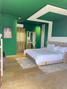 非斯Auberge Billionaire的一间卧室设有一张带绿色墙壁的大床