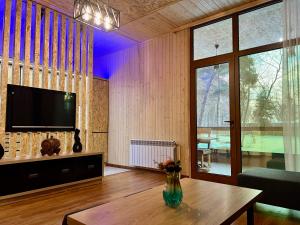 塞凡Milenium magic villa on Sevan beach的客厅配有电视和桌子