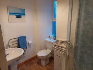 柯克沃尔8 Firth Square的浴室配有卫生间、盥洗盆和淋浴。