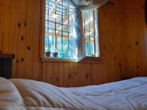 普洛缇尔Los Alamos的卧室在窗户前配有一张床