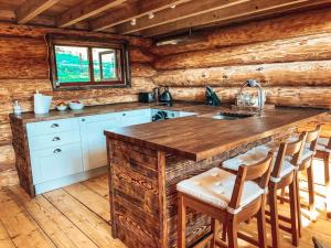 Log Cabin/Hot Tub on Private Lake Jurassic Coast的厨房或小厨房