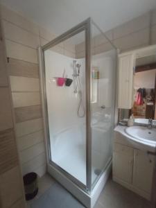 韦莱姆Pele vendégház的带淋浴和盥洗盆的浴室