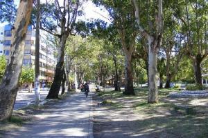 里奥格兰德Casa de Praia Extremo Sul的沿着树木林立的公园的小路走的人