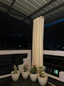 因帕尔Sunset Homes Imphal的阳台上的四种盆栽植物,设有窗户