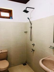 阿杭格默Rasara Home Stay的带淋浴的浴室(带卫生间和水槽)