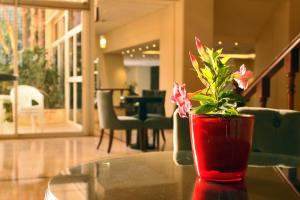 贝鲁特大都会酒店的红色花瓶,花朵坐在桌子上