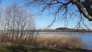 SabelFerienwohnung im Zanderhaus的享有高大的草地和树木的湖泊美景