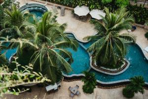 暹粒Hotel Vellita Siem reap的享有棕榈树游泳池的顶部景致