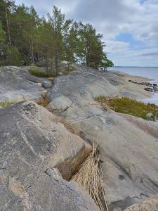HoutskariTopsala Seaside的海滩边的一群岩石