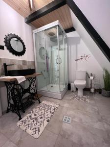 皮亚特拉凡塔讷勒Cabane A-frame CeziAde Tihuta的一间带玻璃淋浴和卫生间的浴室