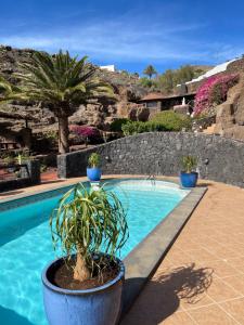 阿索马达Castillo Lanzarote Villa 4 - Sleep in a Volcanic Cave的石墙旁的游泳池,种植了盆栽植物