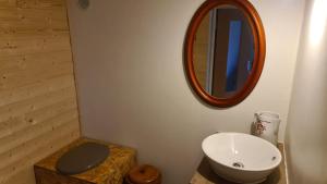 BréelChambre à la ferme, les vergers du Muscardin的一间带卫生间、水槽和镜子的浴室
