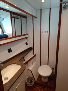 巴塞罗那Amazing boat to sleep in Barcelona的一间带卫生间和水槽的小浴室