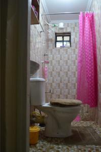 埃尔多雷特ELDORET STAYS的浴室设有卫生间和粉红色的淋浴帘