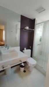圣保罗M-Flat III Luxo - Hotel的一间带水槽、卫生间和淋浴的浴室
