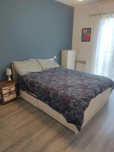 佩皮尼昂Joli appartement dans quartier calme de Perpignan的一间卧室配有一张带花卉图案的毯子的大床
