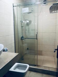 阿奴古MCLORRETS SUITES的带淋浴、卫生间和盥洗盆的浴室