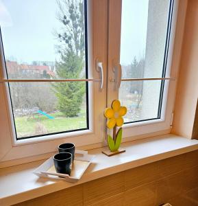 肯琴Spokojne i miłe miejsce na Mazurach的窗台上摆着花瓶的窗台