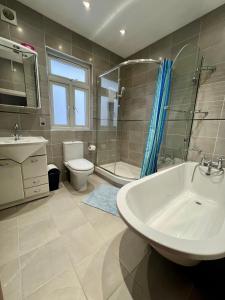 伦敦圣盖博罗德旅馆的一间带水槽、卫生间和淋浴的浴室
