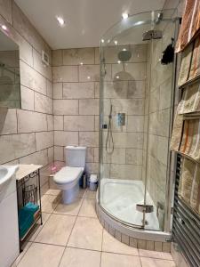 伦敦圣盖博罗德旅馆的带淋浴和卫生间的浴室