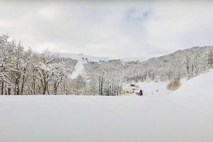 萨克德佐尔镇Lovely Aparthotel in Tsaghkadzor的一群人沿着雪覆盖的斜坡滑雪
