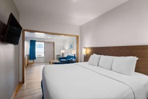 斩魔山威尔伯斩魔山海滨戴斯酒店的酒店客房设有一张大床和一台电视。