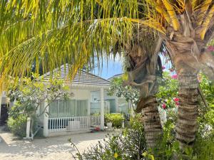 吉利美诺Seri Resort Gili Meno - Adults Only的房屋前的棕榈树