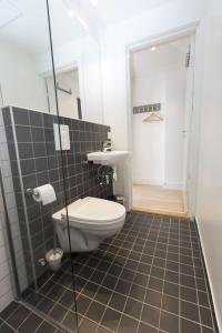 奥斯陆Keybutler Royal Park Studios的一间带卫生间和步入式淋浴间的浴室