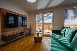 戈德马图杰克Hiša Zima的客厅配有绿色沙发和平面电视