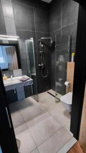 谢拉兹Baza noclegowa Mistral的带淋浴、卫生间和盥洗盆的浴室