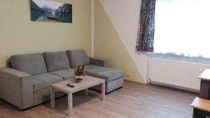 阿特湖畔施泰因巴赫Ferienwohnungen Mach的带沙发和咖啡桌的客厅